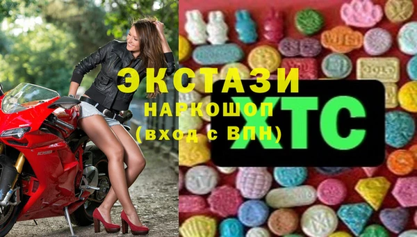 ECSTASY Алзамай