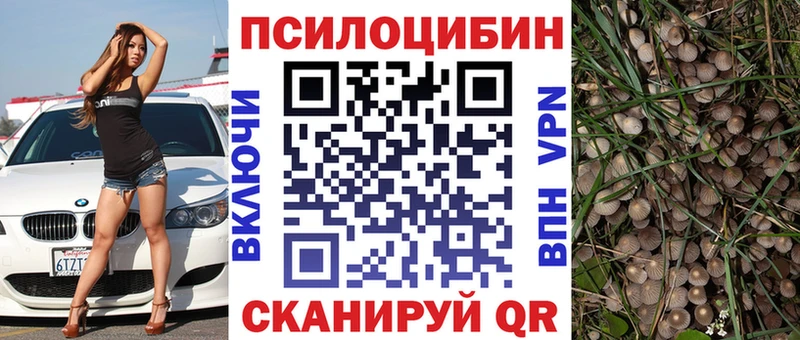 Галлюциногенные грибы MAGIC MUSHROOMS Богучар